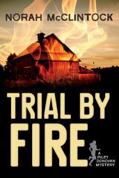 Icon image Trial by Fire: A Riley Donovan mystery