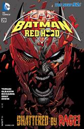 Icon image Batman and Robin (2011)