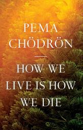 Icon image How We Live Is How We Die