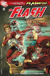 Icon image The Flash (2010)