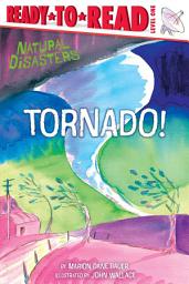 Icon image Tornado!: Ready-to-Read Level 1