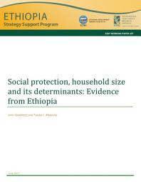 Icon image Social protection, household size and its determinants: Evidence from Ethiopia