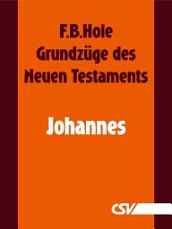 Icon image Grundzüge des Neuen Testaments - Johannes