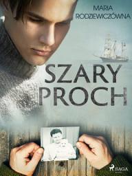 Icon image Szary proch
