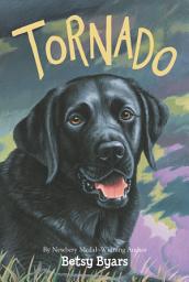 Icon image Tornado
