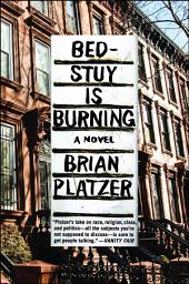 Icon image Bed-Stuy Is Burning: A Novel