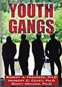 Icon image YOUTH GANGS: (4th Ed.)