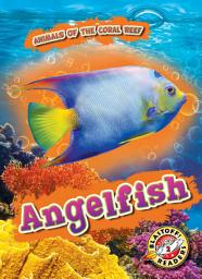 Icon image Angelfish