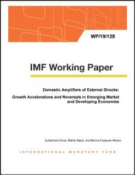 Icon image Domestic Amplifiers of External Shocks: Growth Accelerations and Reversals in Emerging Market and Developing Economies