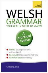 Icon image Welsh Grammar You Really Need to Know: Teach Yourself