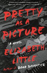 Icon image Pretty as a Picture: A Novel