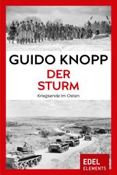 Icon image Der Sturm: Kriegsende im Osten