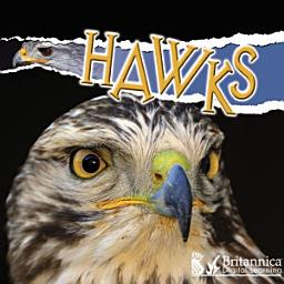 Icon image Hawks