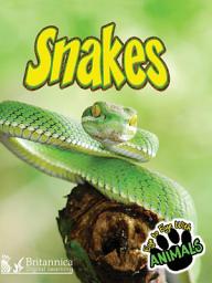 Icon image Snakes