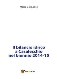 Icon image Il bilancio idrico a Casalecchio nel biennio 2014-15