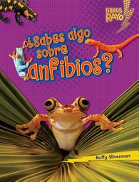 Icon image ¿Sabes algo sobre anfibios? (Do You Know about Amphibians?)