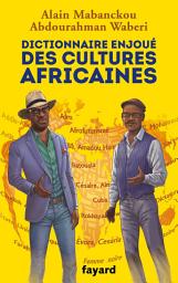 Icon image Dictionnaire enjoué des cultures africaines