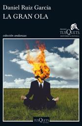 Icon image La gran ola: XII Premio Tusquets Editores de Novela