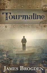 Icon image Tourmaline: Volume 1
