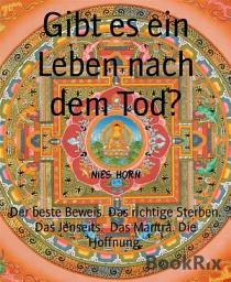 Icon image Gibt es ein Leben nach dem Tod?: Der beste Beweis. Das richtige Sterben. Das Jenseits. Das Mantra. Die Hoffnung.