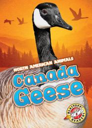 Icon image Canada Geese