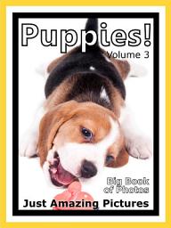 Icon image Just Puppies! vol. 3: Big Book of Puppy Dogs Photographs & Dog Pictures