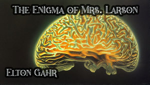 Icon image The Enigma of Mrs. Larson