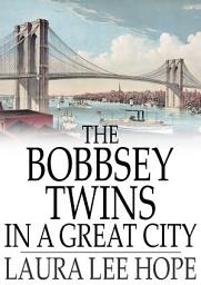 Icon image The Bobbsey Twins in a Great City