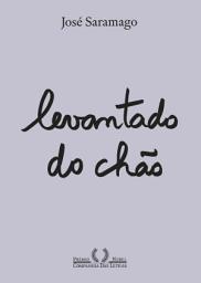 Icon image Levantado do chão (Nova edição): Romance
