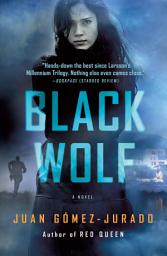 Icon image Black Wolf: A Novel