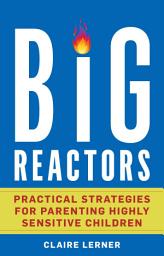 Icon image Big Reactors: Practical Strategies for Parenting Highly Sensitive Children