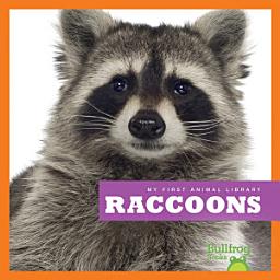 Icon image Raccoons