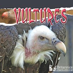 Icon image Vultures