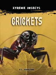 Icon image Crickets