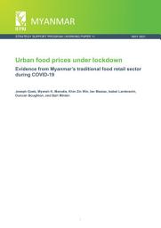 Icon image Urban food prices under lockdown: Evidence from Myanmar’s traditional food retail sector during COVID-19