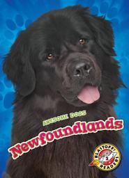 Icon image Newfoundlands
