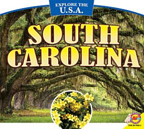 Icon image South Carolina