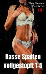 Icon image Nasse Spalten vollgestopft 1-5: Geil versaute Sexgeschichten