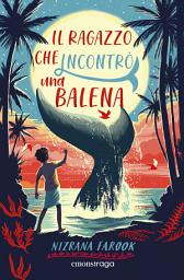 Icon image Il ragazzo che incontrò una balena