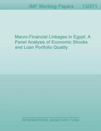 Icon image Macro-Financial Linkages in Egypt: A Panel Analysis of Economic Shocks and Loan Portfolio Quality