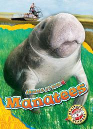 Icon image Manatees