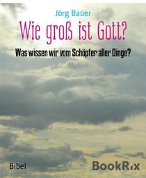 Icon image Wie groß ist Gott?: Was wissen wir vom Schöpfer aller Dinge?