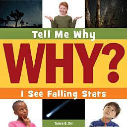 Icon image I See Falling Stars: Read Along or Enhanced eBook