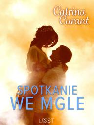 Icon image Spotkanie we mgle – opowiadanie erotyczne