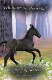 Icon image Spring of Secrets: A Wilderness Horse Adventure