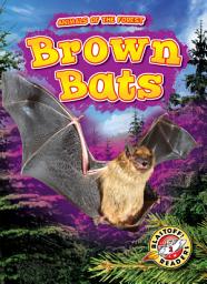 Icon image Brown Bats