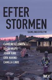 Icon image Efter stormen : utökad samlingsvolym