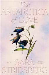 Icon image The Antarctica of Love: A Novel