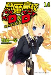 Icon image 惡魔高校D×D (14): 進路輔導的魔法師