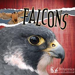 Icon image Falcons